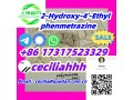 2-hydroxy-4-ethylphenmetrazine-2-ho-4-epm-2-hydroxyphenmetetrazine-n-ethylphenmetrazol-small-0