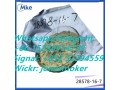 door-to-door-service-cas-28578-16-7-pmk-powder-pmk-ethyl-glycidate-small-4