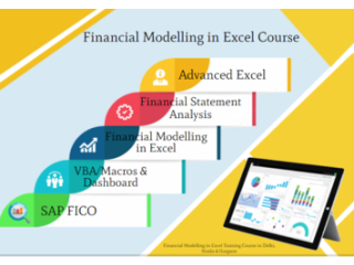 Financial Modeling Training Course in Delhi, 110075. Best Online Live Financial Analyst Training in Chandigarh by IIT Faculty , [ 100% Job in MNC]