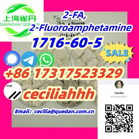 chinesevendor-1716-60-5-2-fa-2-fluoroamphetamine-8617317523329wickrceciliahhh-big-0