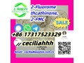 freesample-2-fluoromethcathinone-2-fmc-86-17317523329wickrceciliahhh-small-0