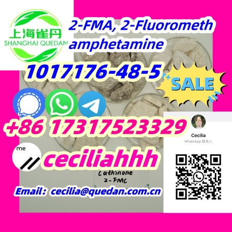 fastdelivery-1017176-48-5-2-fma-2-fluoromethamphetamine-86-17317523329wickrceciliahhh-big-0