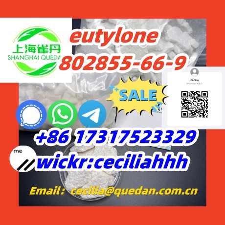 china-factoryof-eutylone-802855-66-9-86-17317523329wickrceciliahhh-big-0