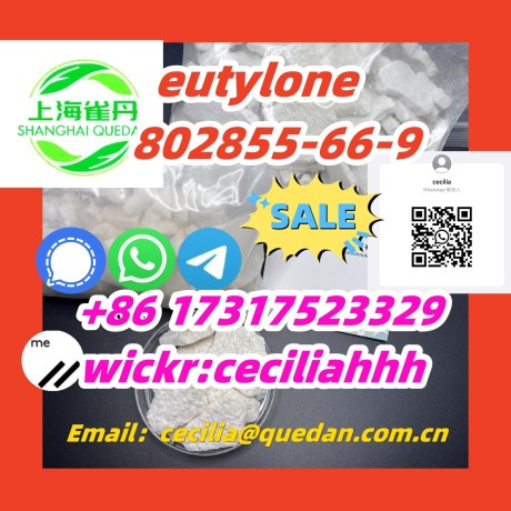 chinasupplier-eutylone-802855-66-9-86-17317523329wickrceciliahhh-big-0