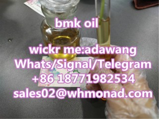 New bmk oil cas 459-03-0 convient to convert products