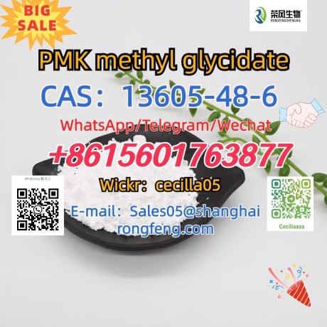 cas13605-48-6-pmk-methyl-glycidate-big-0