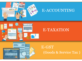 Accounting Course in Delhi 110081, SLA. GST and Accounting Institute, Taxation and Tally Prime Institute in Delhi, Noida, August Offer'24