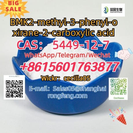 cas-5449-12-7-bmk2-methyl-3-phenyl-oxirane-2-carboxylic-acid-big-0