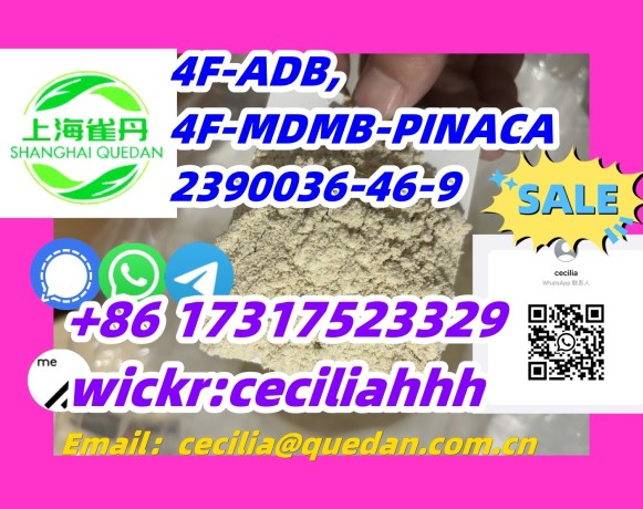 scientifically-4f-adb-2390036-46-9-8617317523329wickrceciliahhh-big-0