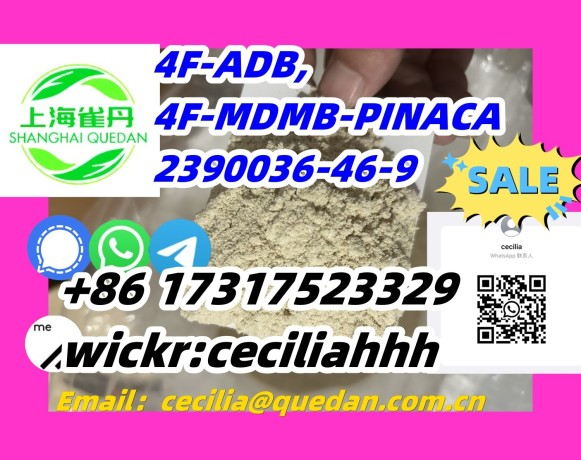 competitiveprice-4f-adb-2390036-46-9-8617317523329wickrceciliahhh-big-0