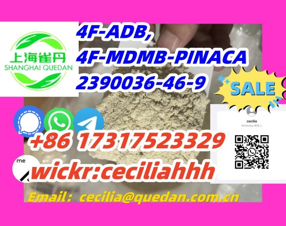 chinesevendor-4f-adb-2390036-46-9-8617317523329wickrceciliahhh-big-0