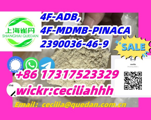 competitiveprice-4f-adb-2390036-46-9-8617317523329wickrceciliahhh-big-0