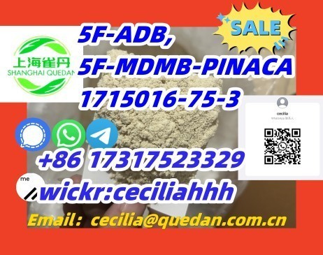 chinamanufacturer-5f-adb-1715016-75-386-17317523329wickrceciliahhh-big-0