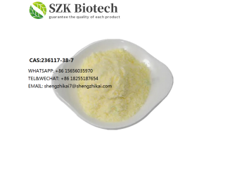 CAS 236117-38-7 for 2-Iodo-1-P-Tolylpropan-1-One CAS 288573-56-8 / CAS 236117-38-7 / CAS288573-56-8