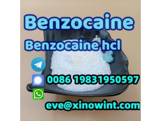 High purity benzocaine cas 94-09-7 with large stock and low price