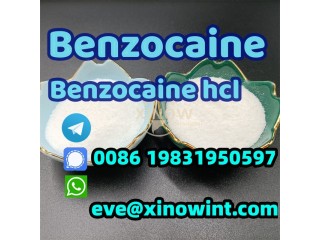 China benzocaine powder top supplier CAS 94-09-7