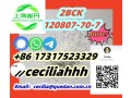 reliablesupplier-2bck-120807-70-7-86-17317523329wickrceciliahhh-small-0