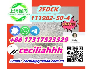 WithBestPriceFromChina2FDCK 111982-50-4 +86 17317523329wickr:ceciliahhh