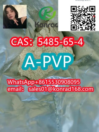 4cl-pvp-research-powdercas5485-65-4-high-quality-competitive-price-fast-delivery-big-0