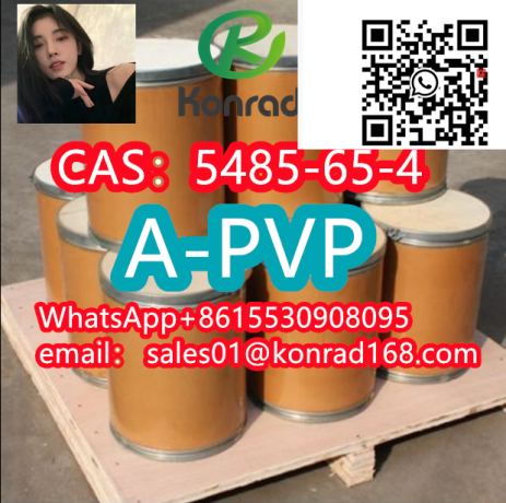 4cl-pvp-research-powdercas5485-65-4-high-quality-competitive-price-fast-delivery-big-1