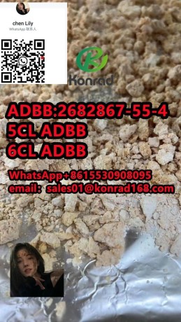 adb-butinaca-cas2682867-55-4high-quality-competitive-price-fast-delivery-big-2