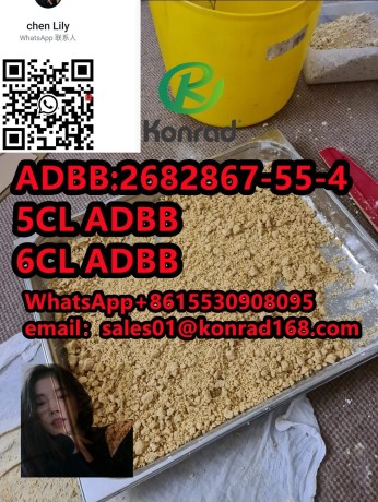 adb-butinaca-cas2682867-55-4high-quality-competitive-price-fast-delivery-big-1