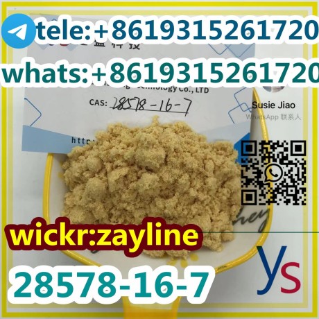 cas-28578-16-7-pmk-powder-pharamaceutical-intermediates-hot-selling-big-2