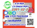 chinasupplier-2201-32-3-3-cl-pcp3-chloro-pcp-86-17317523329wickrceciliahhh-small-0