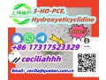 chinesevendor3-ho-pce-hydroxyeticyclidine-86-17317523329wickrceciliahhh-small-0