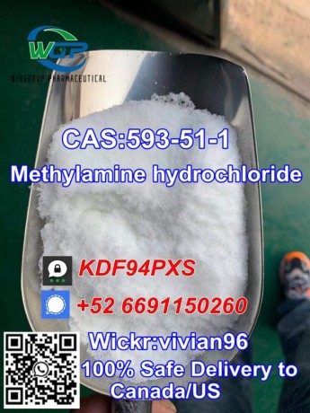 wickrvivian96-99-purity-methylamine-hydrochloride-cas-593-51-1-canada-stock-big-1