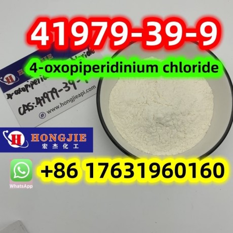 41979-39-9piperidin-4-one-hydrochloride-chinese-suppliers-free-sample-big-0