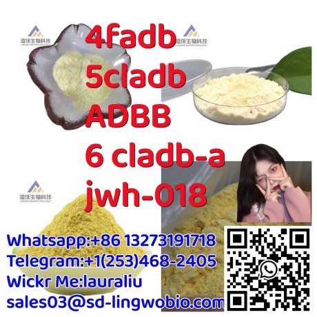 4fadb-5cladb-5fadbb-6-cladb-a-jwh-018-adb-binaca-adb-butinaca5f-mdmb-pinaca-mdmb-4en-pinaca-mmb-2201-big-1