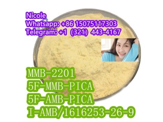 MMB-2201/5F-MMB-PICA/5F-AMB-PICA/I-AMB/1616253-26-9