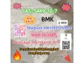 cas-5449-12-7-bmk2-methyl-3-phenyl-oxirane-2-carboxylic-acid-small-3