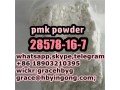 hot-sales-28578-16-7-pmk-ethyl-glycidate-bmk-20320-59-6-5449-12-7-small-2