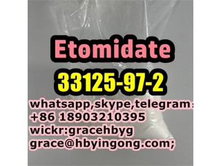 New Original 33125-97-2  Etomidate