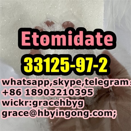 new-original-33125-97-2-etomidate-big-4