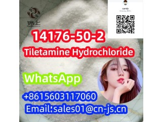 Lowest price Tiletamine Hydrochloride CAS 14176-50-2