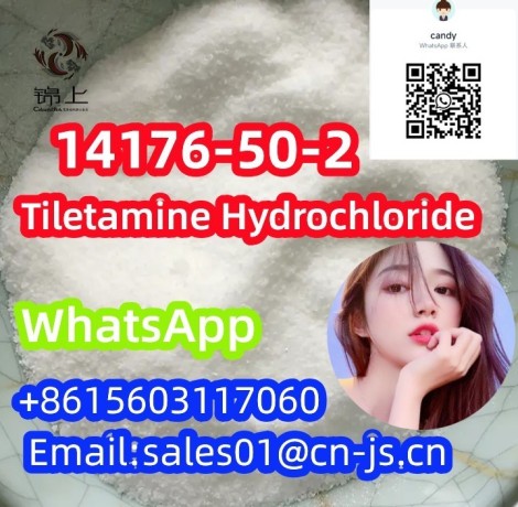 lowest-price-tiletamine-hydrochloride-cas-14176-50-2-big-0