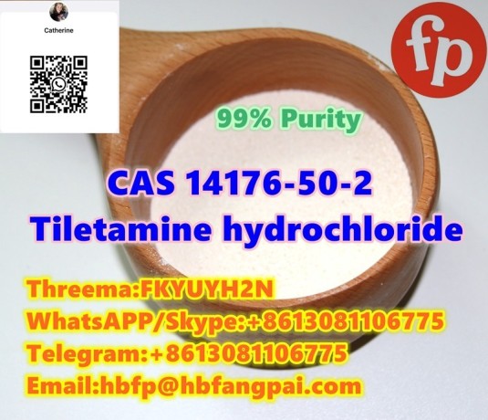 cas-14176-50-2-tiletamine-hydrochloride-big-0