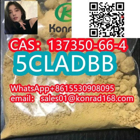 5cladbcas137350-66-4-big-2