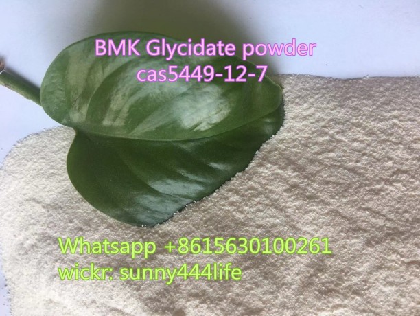 bmk-cas5449-12-7-bmk-cas5413-05-8-supply-big-1