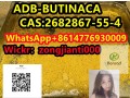 adb-butinaca-cas2682867-55-4-small-2