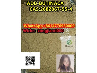 ADB-BUTINACA  CAS:2682867-55-4