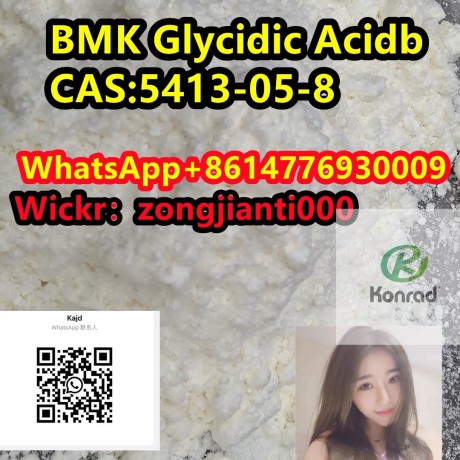 bmk-glycidic-acidbcas5413-05-8-big-0