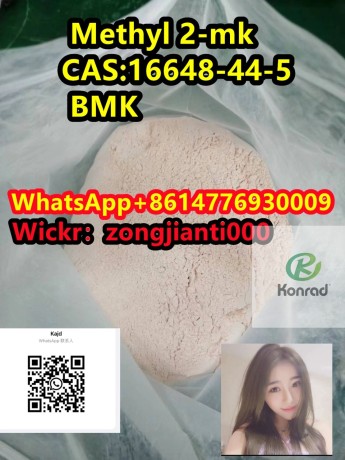 methyl-2-phenylacetoacetatebmkcas16648-44-5-bmk-big-0