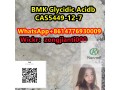 bmk-glycidic-acidbcas5449-12-7-small-0