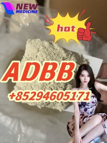 125541-22-2-443998-65-0-79099-07-3-288573-56-8-adbb-big-0