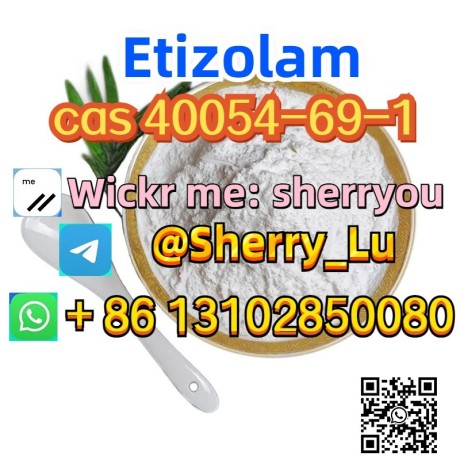 etizolam-cas-40054-69-1-powder-factory-supply-big-0