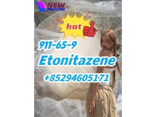 911-65-9 etonitazene   2079878-75-2 705-60-2 91393-49-6  81646-13-1